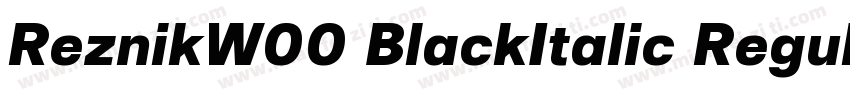 ReznikW00 BlackItalic Regular字体转换